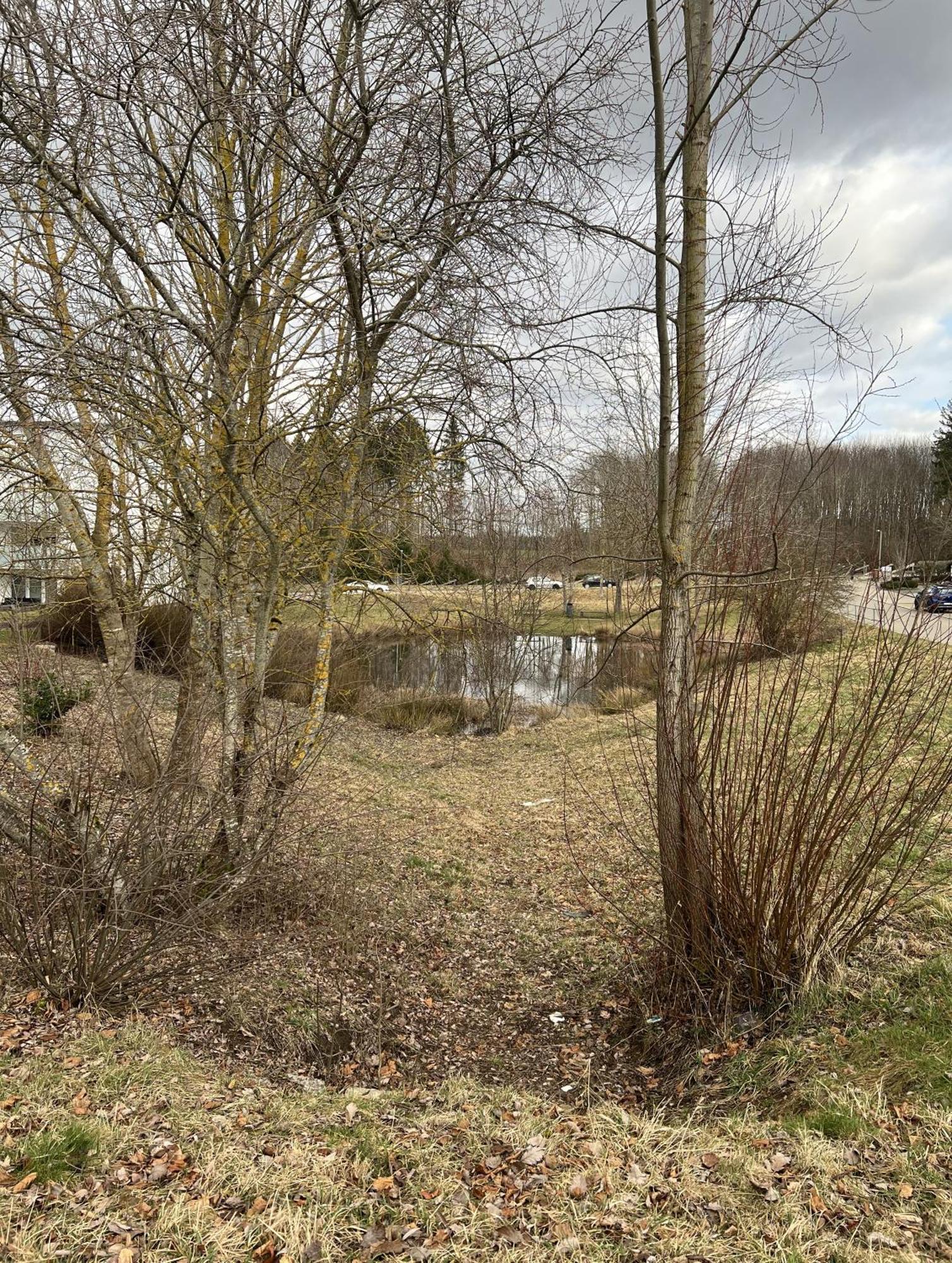 My Home N 35 Villingen-Schwenningen Dış mekan fotoğraf